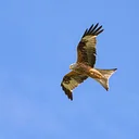 Family Night: Take Flight