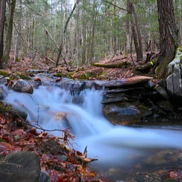 Falling Leaves Jam! 40 Years & Counting: A Community Visioning Lab for Earthdance’s Future with hosts Asa Benjamin and Faith Rathbun – Registration Coming Soon!