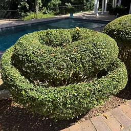 Michael P. Gibson's First Cut Reception - Garden Member Event