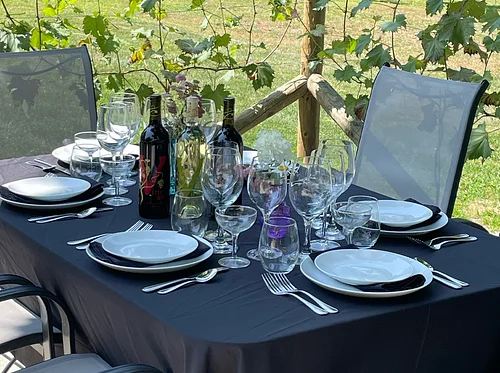 2026 Venture Wine Tasting Dinner