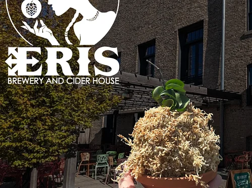 Uncommon Plant Guy: Connection Through Kokedama