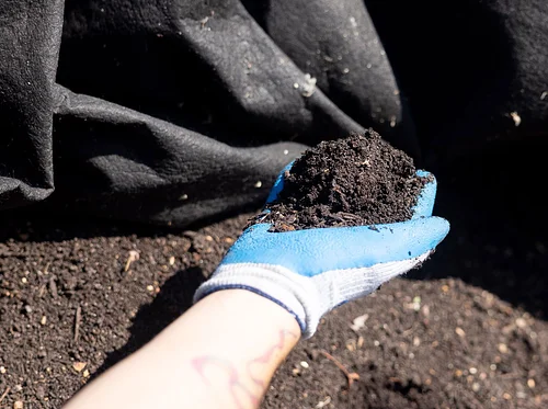 Compost Advocacy & Community-Building (Master Composter Course)