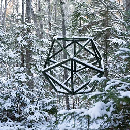 Forest Geometries: Closing Artist Talk & Hike