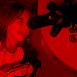 Stars Over Springfield