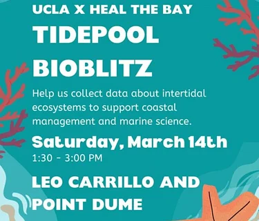 Tidepool Bioblitz with UCLA