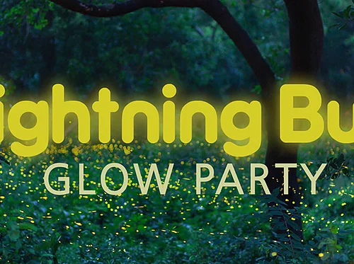 Lightning Bug Glow Party