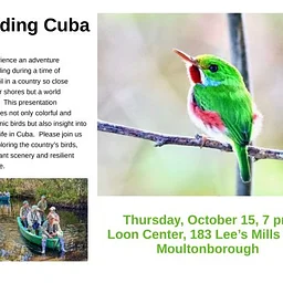 Birding Cuba with the Lakes Region Chapter