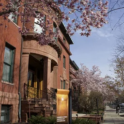 The Phillips Collection