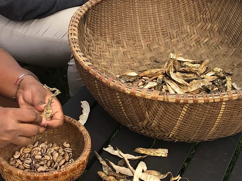 Community Working Wednesday