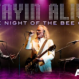 Stayin’ Alive: One Night of the Bee Gees