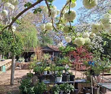 Spring Plant Sale - Members Day