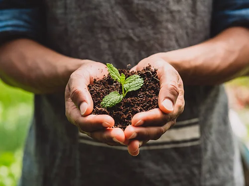 Earth Day Celebration