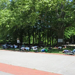 Shala Yoga
