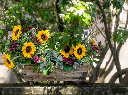 Garden to Vase: Sensational Summer Flowers