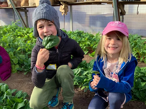 Farm to Fork: Full Bellies and Full Hearts