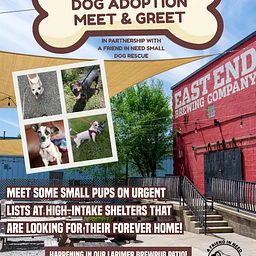 Dog Adoption Meet & Greet with AFN Dog Rescue