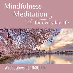 Mindfulness Meditation for Everyday Life
