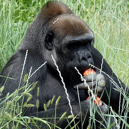 Special Holiday Stroller Safari: Beast Feast (Nov. 25)