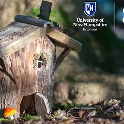 Fairy Houses and Gnome Homes with 4-H