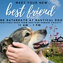 2nd Saturdays at Nautical Dog