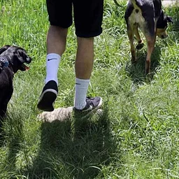 Hit the Trails: Bring Your Pup (for everyone ages 8+)
