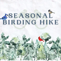 Fall Bird Hike