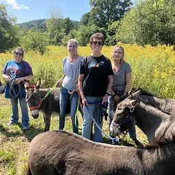 Donkey Treks