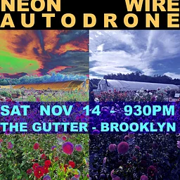 OWL PRESENTS! Dinowalrus, Neon Wire, Autodrone
