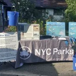Volunteering at Conference House Park - The Blue Wave