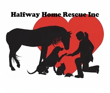 Halfway Home Rescue at Sicily Coal Fire Pizza, Middletown
