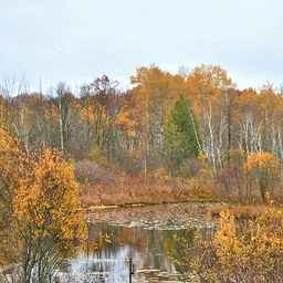 Visitor Center Closed. Trails Open Dawn to Dusk