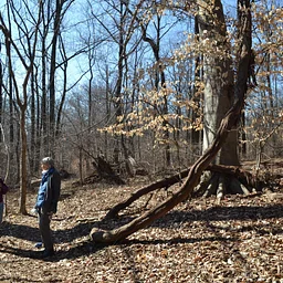 Wednesday Walk: Learning the Land/Winter Walk