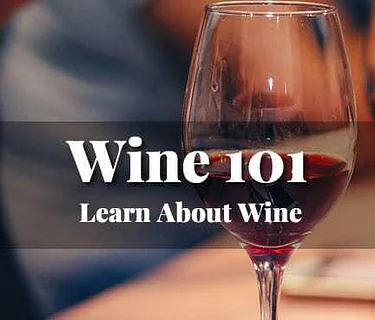 Wine 101: Learn About Wine