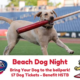 Clearwater Threshers Beach Dog Night