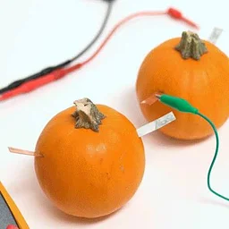 JHPL Kid's Lab: Pumpkin Energy