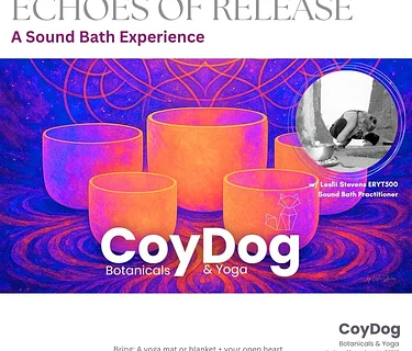Echoes of Release: A Sound Bath Experience