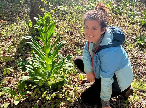 Medicinal Weeds, Herbal First Aid, and Salve Making with Lexy Vogel: June 22, 2026