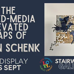 Stairwell Gallery | The Mixed Media Elevated Maps of Susan Schenk