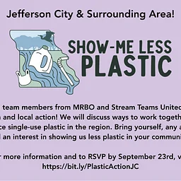 Jefferson City Lunch and Local Action
