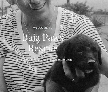 Baja Paws Puppy Yoga x Adoption Event