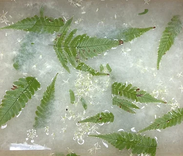 Make+Take: Handmade Paper with Botanical Inclusions