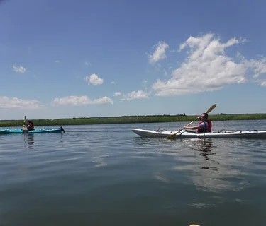 Kayak the Salt Marsh