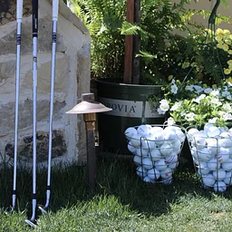Chipping Green