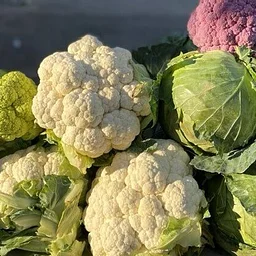 Farmers Market