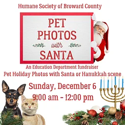 Pet Holiday Photos