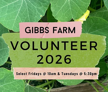 Friday Volunteer Days July 10