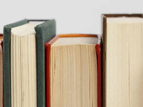 OMA Book Club | Mad Enchantment: Claude Monet and the Painting of the Water Lilies