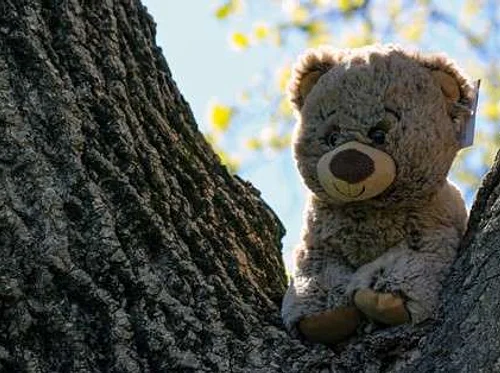 Fifth Annual Teddy Bear Picnic and Tea (Plymouth)