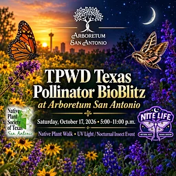 Texas Pollinator BioBlitz