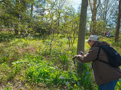 Botanizing: The Best Hobby You’ve Never Heard of (Online)